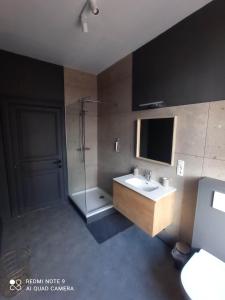 een badkamer met een wastafel en een douche bij Le Kiosque in Ciney