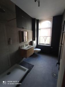 łazienka z umywalką, toaletą i oknem w obiekcie Le Kiosque w mieście Ciney