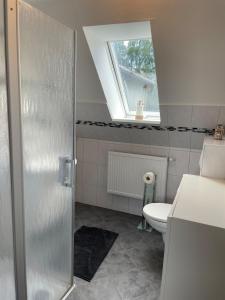 a bathroom with a shower and a toilet with a window at Ferienhaus Osterende in Bordelum