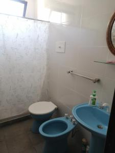 a bathroom with a blue toilet and a sink at Luminoso Departamento Mendoza in Mendoza