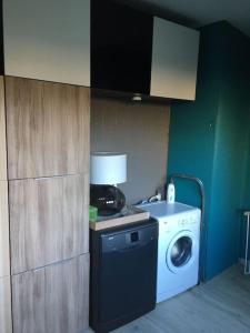 a kitchen with a washing machine and a sink at Maison cosy in Remicourt