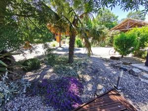a garden with purple flowers and a palm tree at LA VIE EST BELLE in Laymont +14 photos