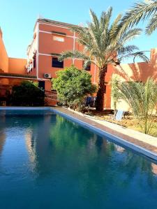 a swimming pool in front of a building with palm trees at Riad Perlamazigh in Zagora