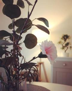 Billede fra billedgalleriet på Une parenthèse à dives sur mer i Dives-sur-Mer