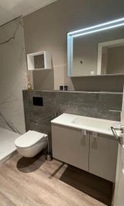La salle de bains est pourvue de toilettes, d'un lavabo et d'un miroir. dans l'établissement JPP 1- Zimmer Apartment in Hamburg Farmsen Berne SELF CHECK-IN, à Hambourg