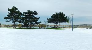 Billede fra billedgalleriet på Une parenthèse à dives sur mer i Dives-sur-Mer