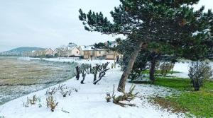 Billede fra billedgalleriet på Une parenthèse à dives sur mer i Dives-sur-Mer + 10 billeder