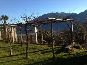 a garden with a building and trees in the grass at Catarina in Contra