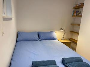 a bed in a room with two blue pillows on it at Ashcroft Apartment - Small Home Away From Home in Ashburton