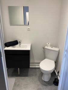 ein Badezimmer mit einem weißen WC und einem Waschbecken in der Unterkunft studio naturel in Arras