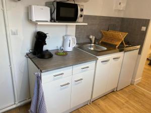 eine kleine weiße Küche mit einer Spüle und einer Mikrowelle in der Unterkunft studio naturel in Arras