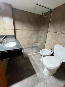La salle de bains est pourvue de toilettes, d'un lavabo et d'une douche. dans l'établissement Complejo El Puente, à Puerto Madryn