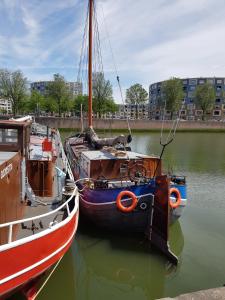 dos barcos están atracados en un cuerpo de agua en Boat-Apartment Rotterdam Fokkelina, en Róterdam