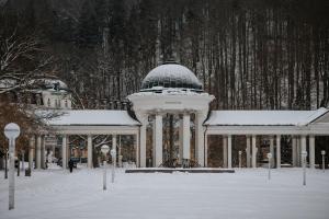 OREA Spa Hotel Cristal v zimě