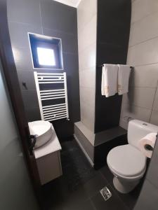 La salle de bains est pourvue de toilettes blanches et d'un lavabo. dans l'établissement Pensiunea Belvedere, à Rânca