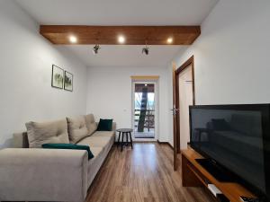 Μια τηλεόραση ή/και κέντρο ψυχαγωγίας στο Apartament nad Przykopą