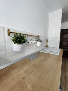 une salle de bains avec deux plantes en pot sur le mur dans l'établissement Ania's Apartment, à Horezu