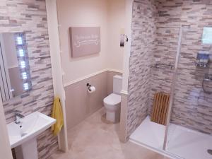 a bathroom with a shower and a toilet and a sink at SWIFT HALF in Ballyconnell