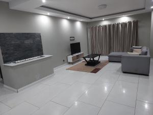 Pretoria的住宿－Alcade Ekhaya，带沙发和壁炉的客厅