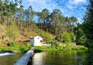 a house on the side of a river at Casa da Azenha Branca in Castelo do Neiva