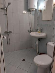 a bathroom with a shower and a toilet and a sink at 2 Rooms Apartment Plovdiv Kichuk Paris in Plovdiv