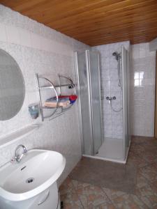 ein Bad mit einer Dusche, einem WC und einem Waschbecken in der Unterkunft FeWo Spreequelle in Herrnhut
