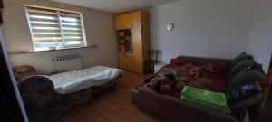 - un salon avec un canapé et un lit dans l'établissement GM Place apartment 60 m2, à Gornji Milanovac