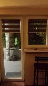 - deux fenêtres dans une pièce avec une porte et une plante dans l'établissement GM Place apartment 60 m2, à Gornji Milanovac
