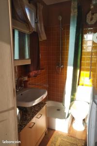 Ένα μπάνιο στο Maison à l'ancienne avec grand terrain , animaux bienvenus