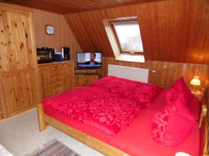 a bedroom with a red bed and a television at Doppelzimmer Oybin in Herrnhut