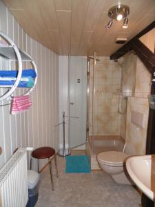 uma casa de banho com um chuveiro, um WC e um lavatório. em Doppelzimmer Oybin em Herrnhut