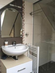 y baño con lavabo y ducha acristalada. en Rinteln-Loft mit E-Auto-Ladestation, en Rinteln