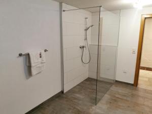 baño con ducha y puerta de cristal en Großzügige 80m² Wohnung in ruhiger Lage, en Vorderhornbach