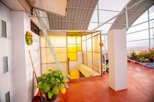 a room with a yellow wall and plants in it at Departamento KIRI para familias con terraza cerca al Aeropuerto de Juliaca in Juliaca