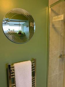 a bathroom with a mirror and a shower with a towel at 'Downtown' @ Terracotta Court in Bradford on Avon