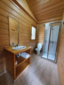 La salle de bains est pourvue d'un lavabo, d'une douche et de toilettes. dans l'établissement Bungalows da Peneda, à Lamas de Mouro