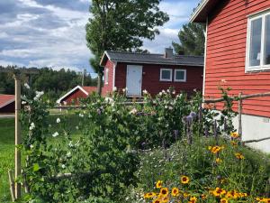 a garden in front of a red house with flowers at Vätterledens Stugrum in Gränna