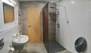 a bathroom with a shower and a sink and a toilet at Mones Monteur- und Ferienwohnung in Klötze +14 photos