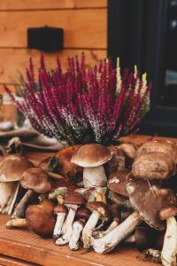 a bunch of mushrooms on a table with purple flowers at Domek w sercu Kaszub in Dziemiany
