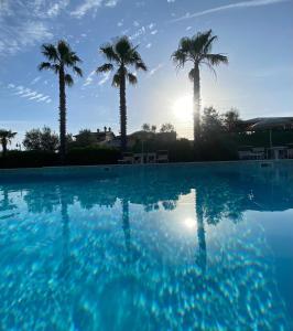 a swimming pool with palm trees in the background at Le Macine in Cecina