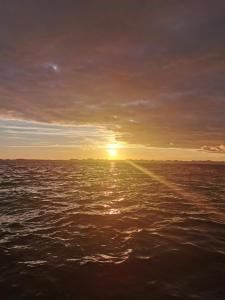 Fotografia z galérie ubytovania Sea view house Runjini dvori v destinácii Dobropoljana