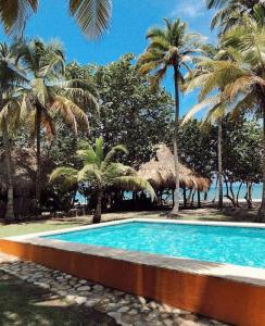 a swimming pool with palm trees in a resort at Casa Yuluka en la playa, Palomino in Palomino