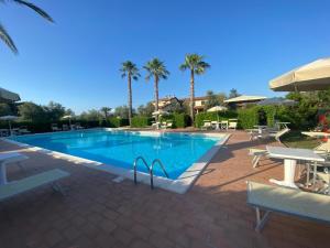 a swimming pool with palm trees in a resort at Le Macine in Cecina