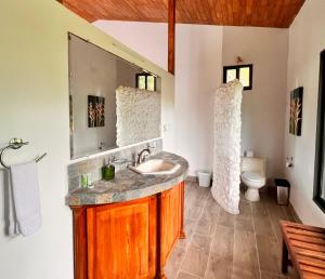 a bathroom with a sink and a mirror at Blue Banyan Inn in Quepos