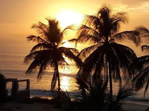 dos palmeras en la playa al atardecer en Villa avec piscine entre plage et Siné Saloum, en Palmarin