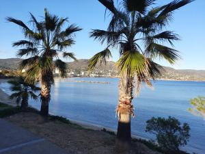 Příroda nedaleko apartmánu