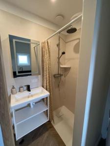 a bathroom with a sink and a mirror at Renovated & private Tinyhouse Den Haag short stay appartment in The Hague