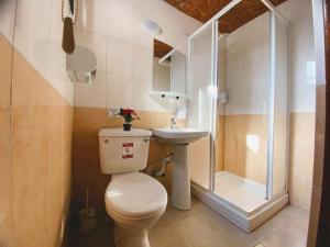 a bathroom with a toilet and a sink and a shower at Marina's Rooms in Larnaca