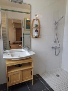 uma casa de banho com um lavatório, um espelho e um chuveiro em Chambres d'hôtes Domaine des Formes em Effiat