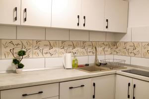 - une cuisine avec des placards blancs avec des gravures murales dans l'établissement Signal Suites with Garden & Mountain View, à Braşov